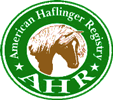 American Haflinger Registry