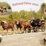 National Drive 2010