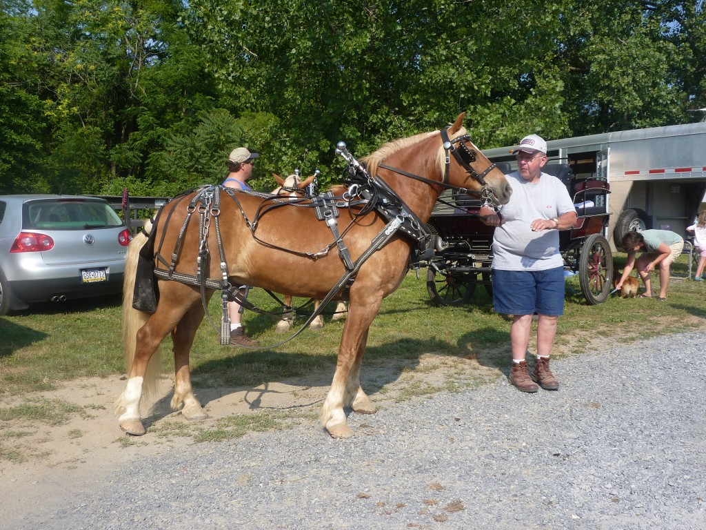 P1000582 : Bryan Hill Farm